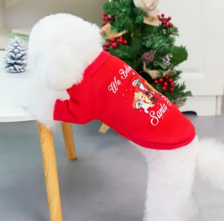 Festive Christmas Sweater With Santa Paws For Dogs and Cats